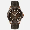 Christopher Ward C60 Pro 300 Bronze Best